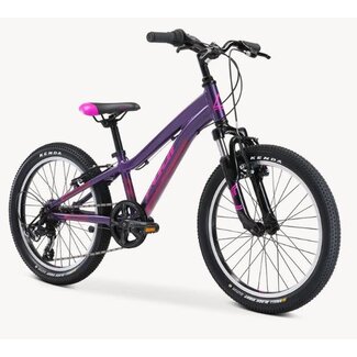 FUJI Dynamite 20" - Purple