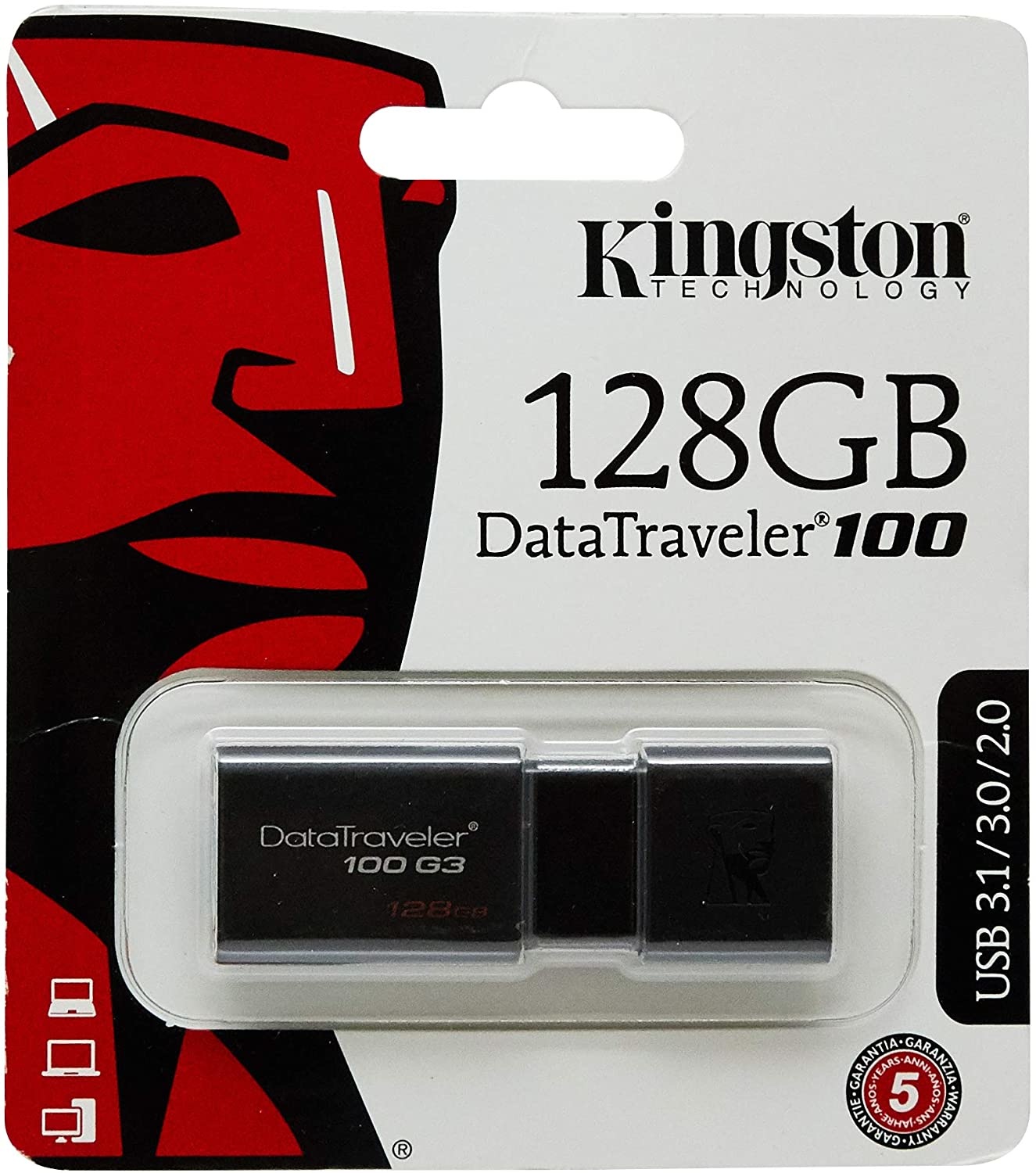 scaring klasse Rust KINGSTON DATATRAVELER G4 128GB USB FLASH DRIVE - Dartmouth The Computer  Store