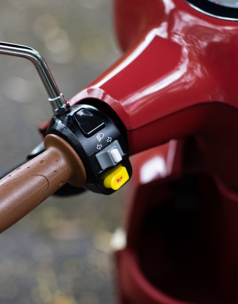 2021 Pamplona Genuine Buddy 170i Scooter - Hawaiian Style Sales