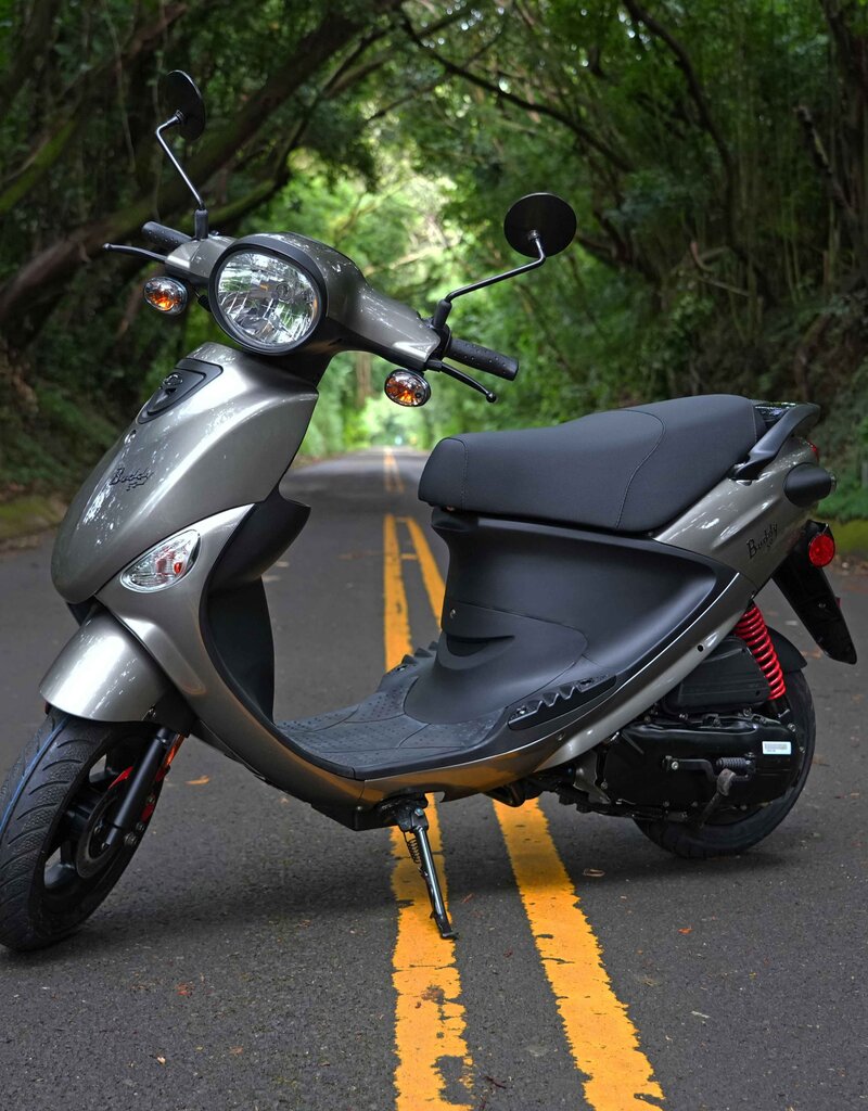 Genuine Scooters 2024 Gloss Titanium Genuine Buddy 50cc Moped