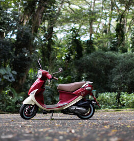 Genuine Scooters 2023 Pamplona Genuine Buddy 170i Scooter