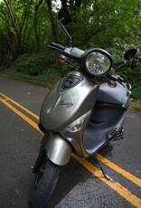 Genuine Scooters 2025 Gloss Titanium Genuine Buddy 50cc Moped