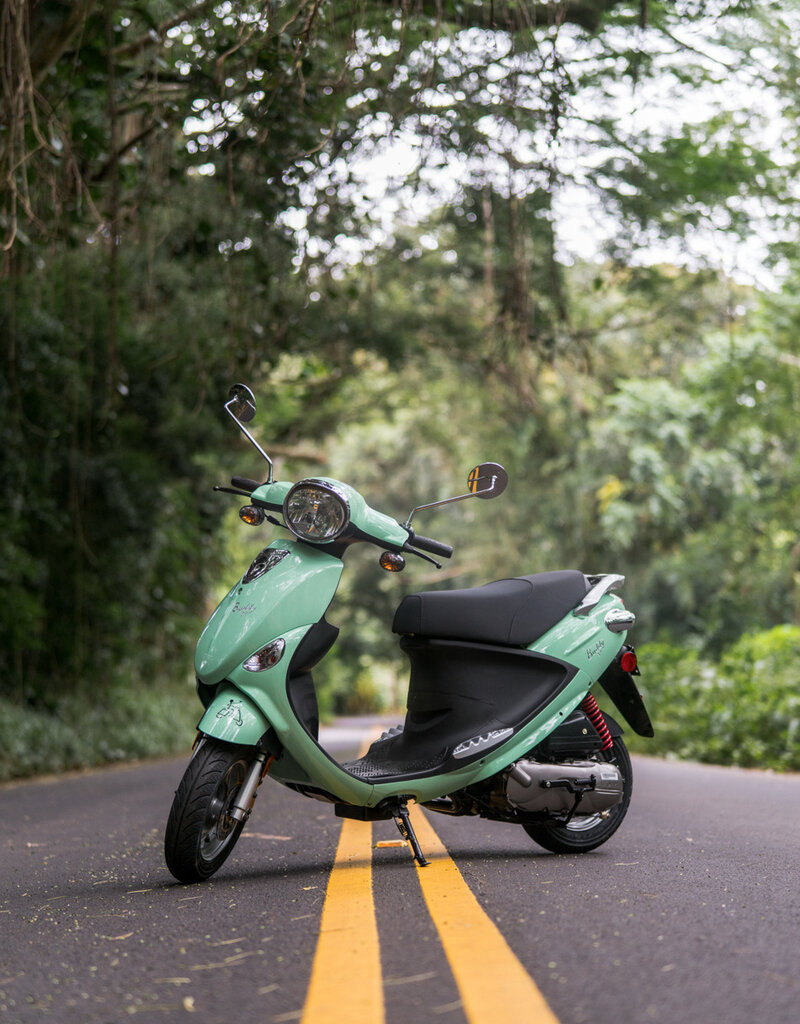 Genuine Scooters 2025 Seafoam Genuine Buddy 50cc Moped