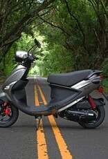 Genuine Scooters 2026 Gloss Titanium Genuine Buddy 50cc Moped**