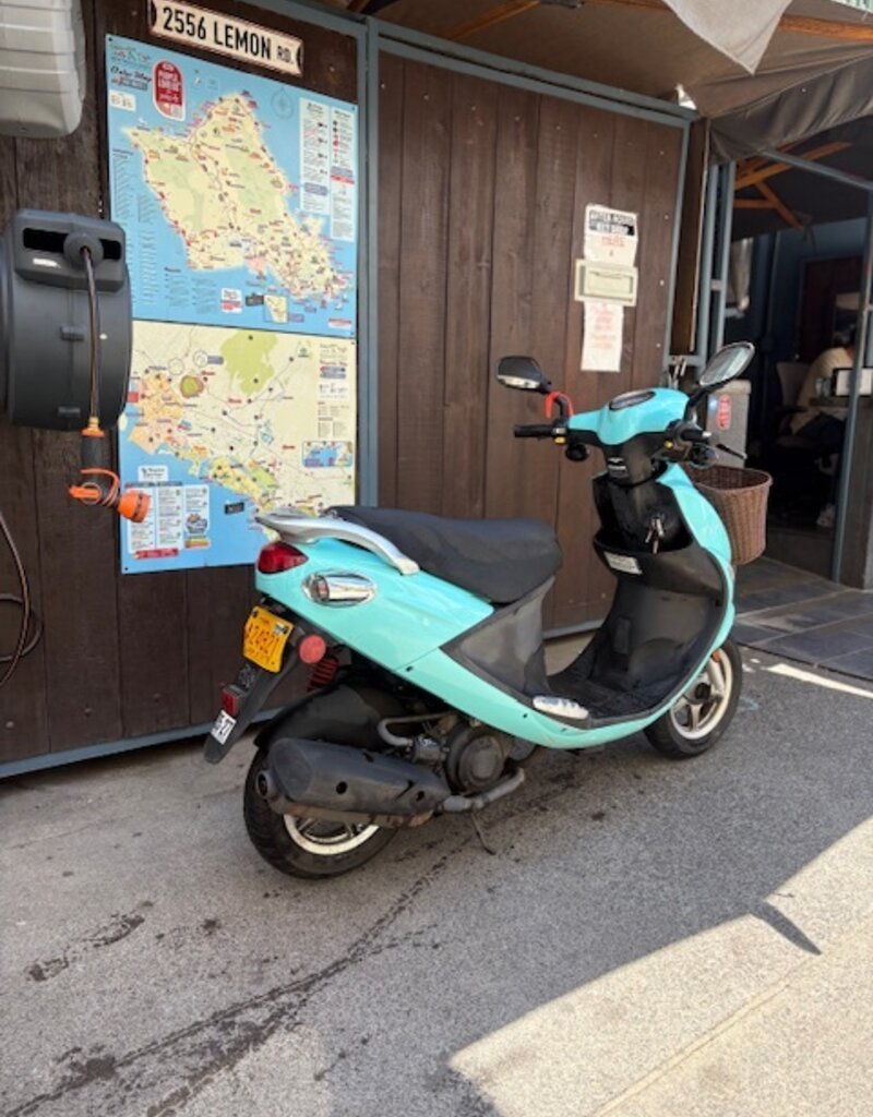 Genuine Scooters 2023 Turquoise Genuine Buddy 50cc Moped (BB-4021)