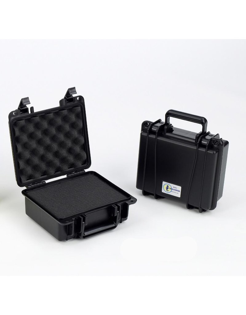 Small Case, Protective W/Foam