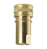 Quick Connect Brass 1/4" Socket