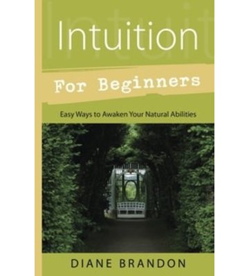 Intuition for Beginners