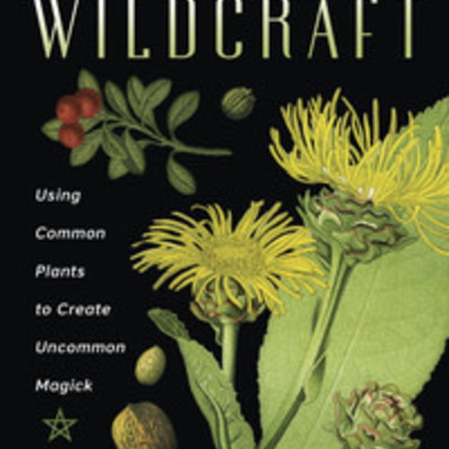 A Witch's Guide to Wildcraft by JD Walker