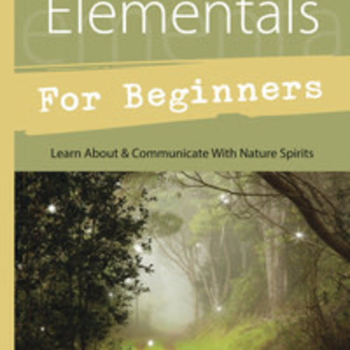 Faeries & Elementals for Beginners