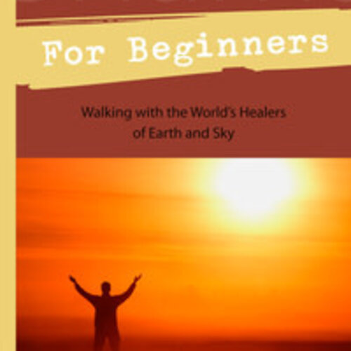Shamanism for Beginners by James Endredy