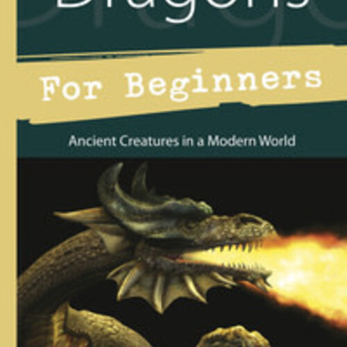 Dragons for Beginners by Shawn Mackenzie