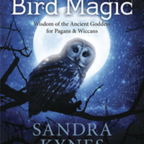Bird Magic by Sandra Kynes