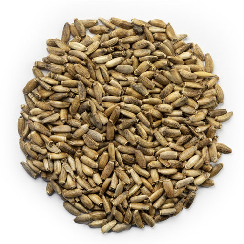 Milk Thistle Seed