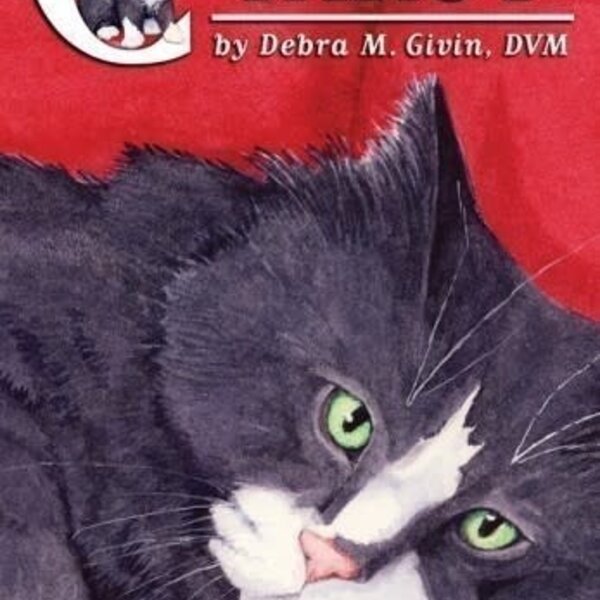 Cat's Eye Tarot