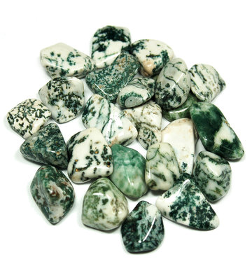 Tree Agate Tumbled Stones