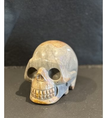 Desert Jasper Skull, 4" In Length
