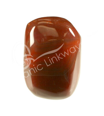FREE SHAPE – CARNELIAN 2.5-3″
