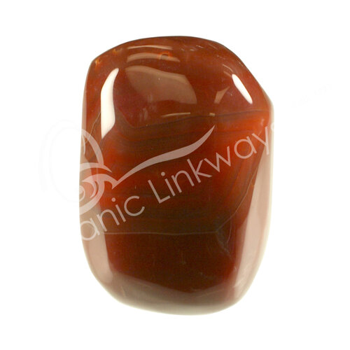FREE SHAPE – CARNELIAN 2.5-3″