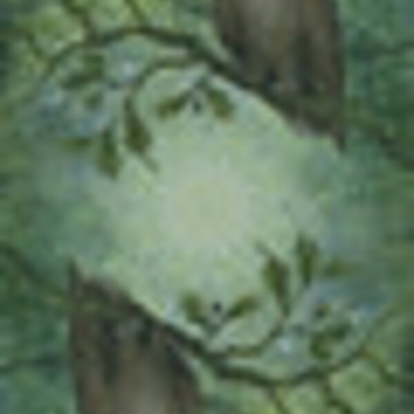 Forest of Enchantment Tarot