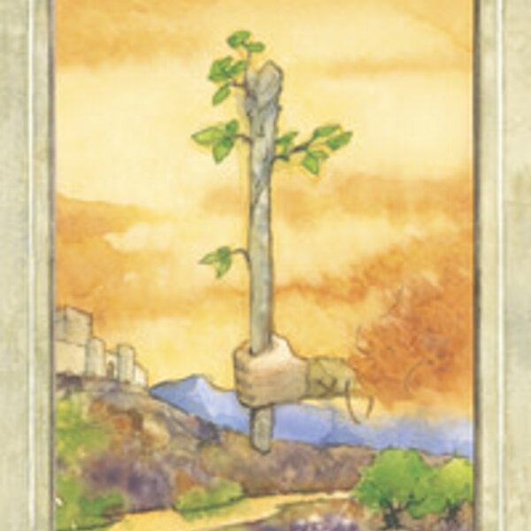 The Llewellyn Tarot
