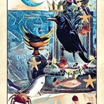 Crow Tarot Pocket Edition