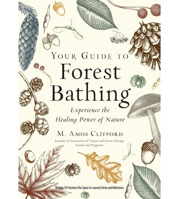 Your Guide To Forest Bathing
