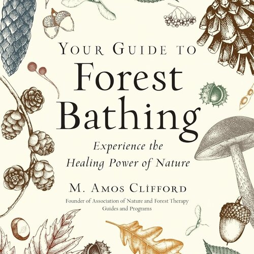 Your Guide To Forest Bathing