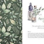 Witch's Apothecary: Seasons of the Witch By Lorriane Anderson  Hardcover; 256 pages