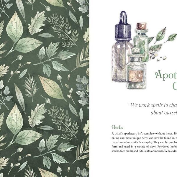 Witch's Apothecary: Seasons of the Witch By Lorriane Anderson  Hardcover; 256 pages
