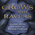 Crows and Ravens by Rick De Yampert