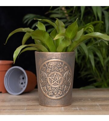 Triple Moon Bronze Terracotta Plant Pot By Lisa Parker 5x6.5In