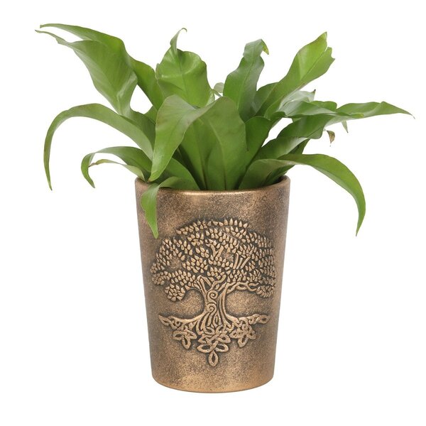 Tree of Life Bronze Terracotta Plant Pot By Lisa Parker 5x6.5In