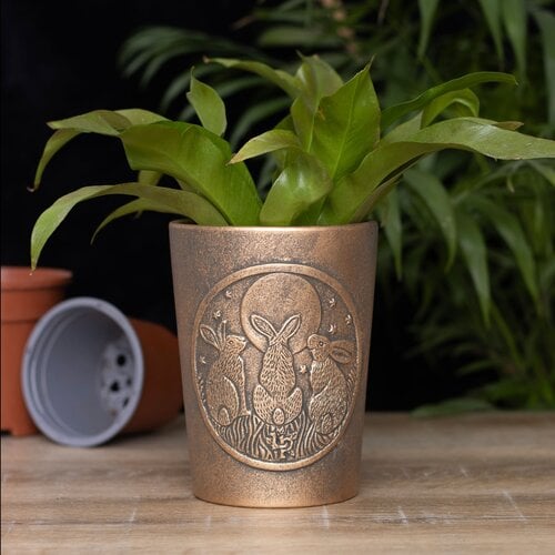 Moon Shadows Bronze Terracotta Plant Pot By Lisa Parker 5x6.5In