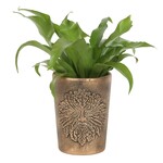 Green Man Bronze Terracotta Plant Pot By Lisa Parker 5 x 6.5In