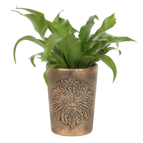 Green Man Bronze Terracotta Plant Pot By Lisa Parker 5 x 6.5In