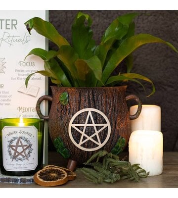 Pentagram Bark Effect Resin Cauldron Plant Pot