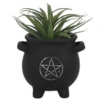 Pentagram Cauldron Plant Pot 5.3 x 5.7