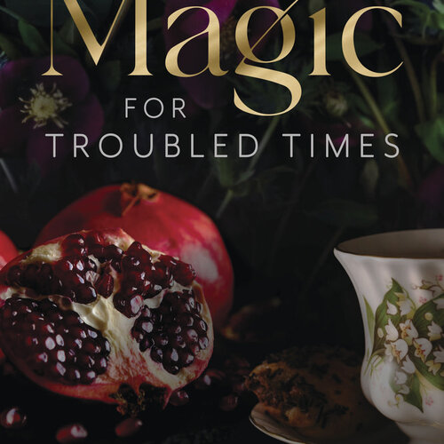 Magic for Troubled Times by Deborah Castellano