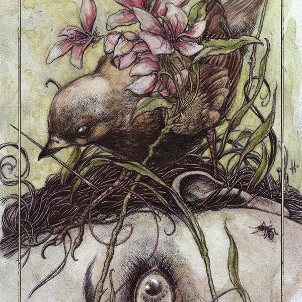 Hush Tarot