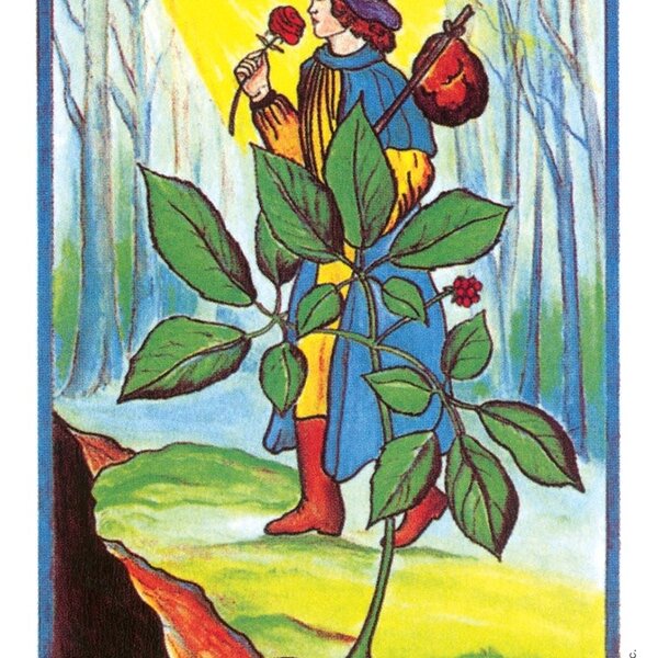 The Herbal Tarot