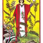 The Herbal Tarot