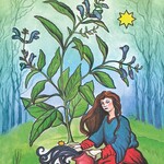 The Herbal Tarot
