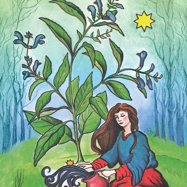 The Herbal Tarot