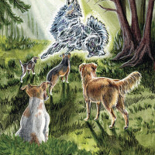 Magical Dogs Tarot