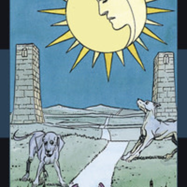 Universal Tarot Professional Edition