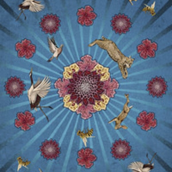 Animal Totem Tarot