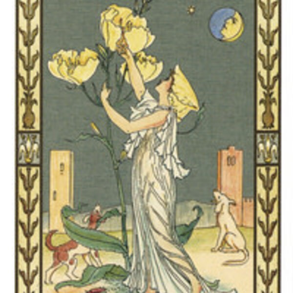 Harmonious Tarot