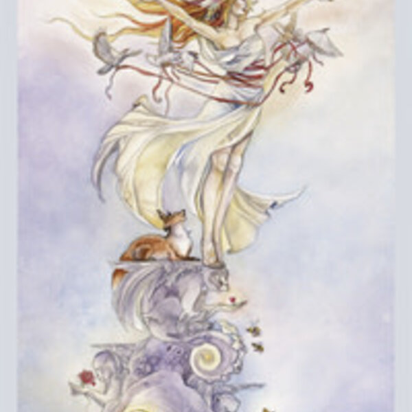Shadowscapes Tarot Deck & Book