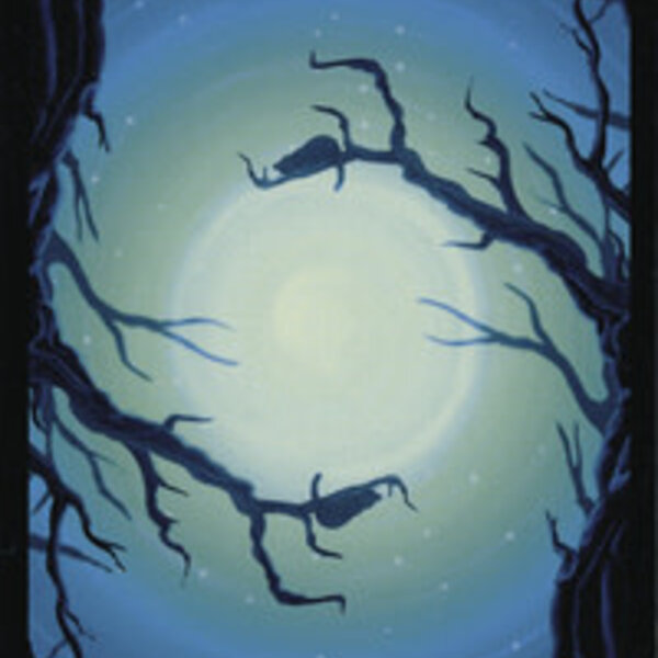 The Black Cats Tarot Deck